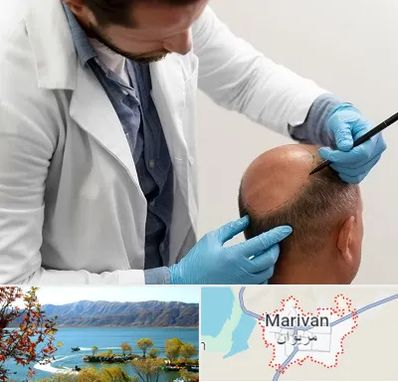 کاشت مو به روش تکثیری در مریوان