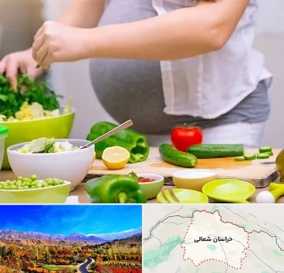 دکتر تغذیه بارداری در خراسان شمالی