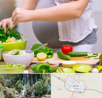 دکتر تغذیه بارداری در شیروان