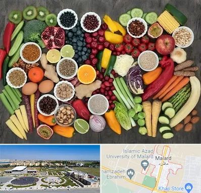 دکتر تغذیه برای چاقی در ملارد