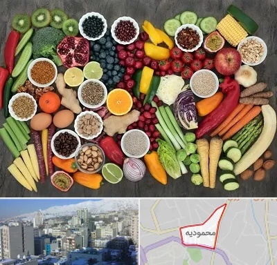 دکتر تغذیه برای چاقی در محمودیه