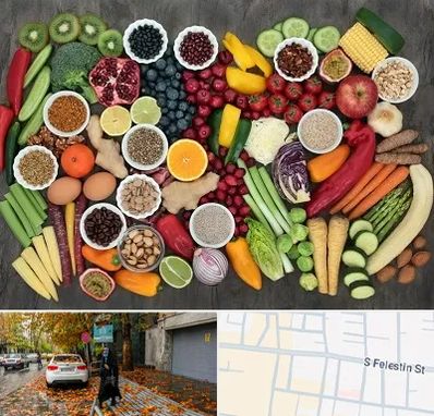 دکتر تغذیه برای چاقی در خیابان فلسطین