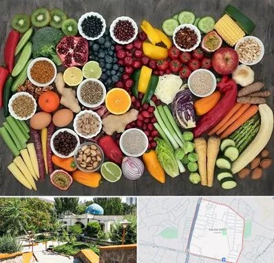 دکتر تغذیه برای چاقی در باغمیشه تبریز