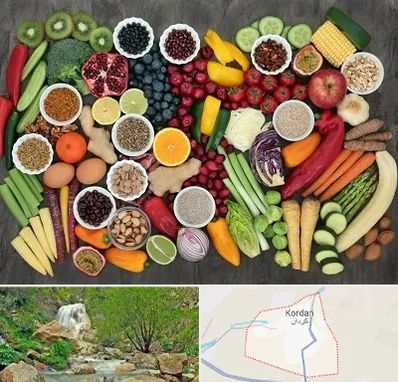 دکتر تغذیه برای چاقی در کردان