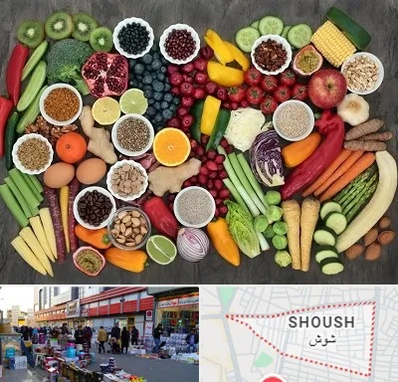 دکتر تغذیه برای چاقی در شوش