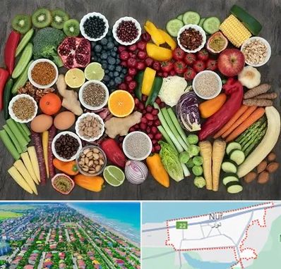 دکتر تغذیه برای چاقی در نور