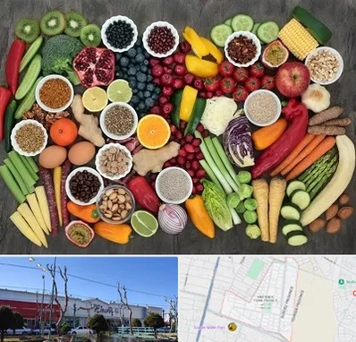 دکتر تغذیه برای چاقی در فاز دو اندیشه