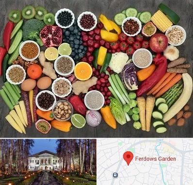 دکتر تغذیه برای چاقی در باغ فردوس