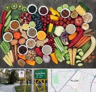 دکتر تغذیه برای چاقی در تهران ویلا