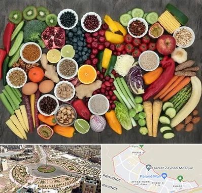 دکتر تغذیه برای چاقی در پرند