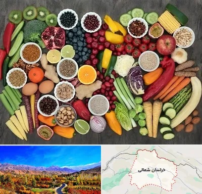 دکتر تغذیه برای چاقی در خراسان شمالی