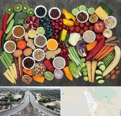 دکتر تغذیه برای چاقی در اندیمشک