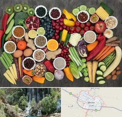 دکتر تغذیه برای چاقی در شیروان