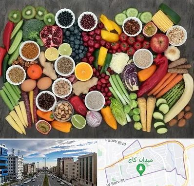 دکتر تغذیه برای چاقی در سعادت آباد 