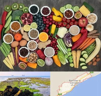 دکتر تغذیه برای چاقی در بندرلنگه