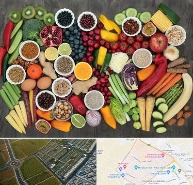 دکتر تغذیه برای چاقی در الهیه مشهد