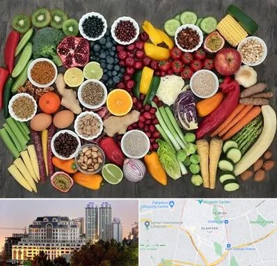 دکتر تغذیه برای چاقی در فرشته 