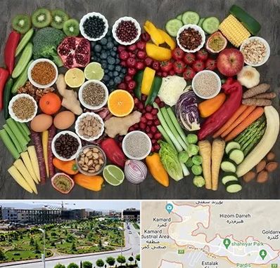 دکتر تغذیه برای چاقی در پردیس