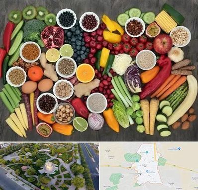 دکتر تغذیه برای چاقی در کاشمر