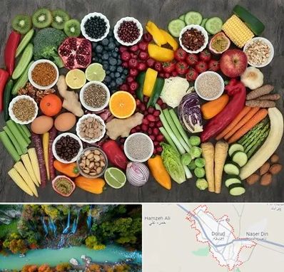 دکتر تغذیه برای چاقی در دورود