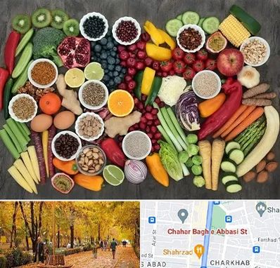 دکتر تغذیه برای چاقی در چهارباغ اصفهان