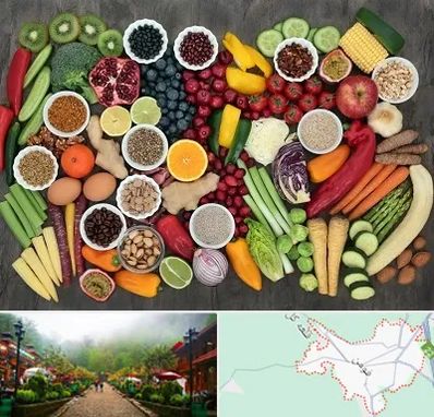 دکتر تغذیه برای چاقی در فومن