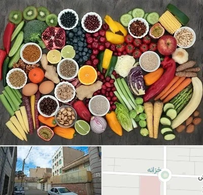 دکتر تغذیه برای چاقی در خزانه