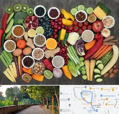 دکتر تغذیه برای چاقی در فلکه گاز رشت