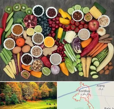 دکتر تغذیه برای چاقی در کردکوی