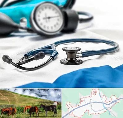 تجهیزات پزشکی در تالش