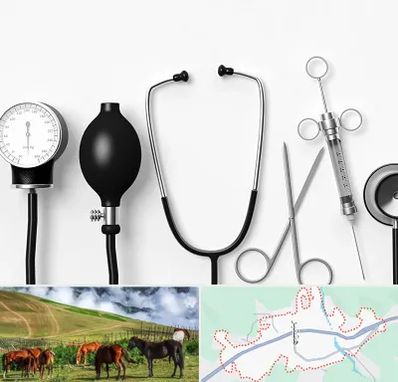 شرکت تجهیزات پزشکی در تالش