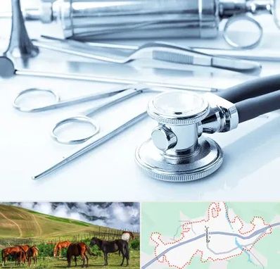 نمایندگی تجهیزات پزشکی در تالش