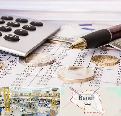 نرم افزار مودیان مالیاتی در بانه