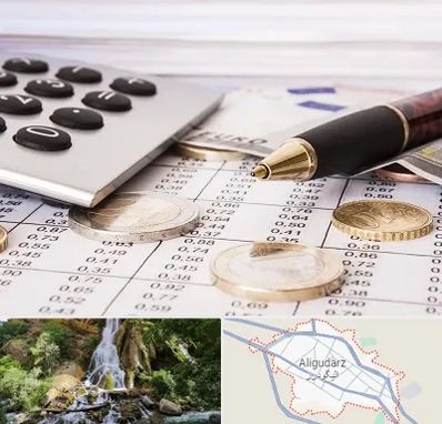 نرم افزار مودیان مالیاتی در الیگودرز