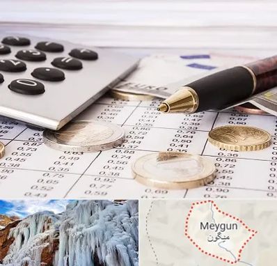 نرم افزار مودیان مالیاتی در میگون