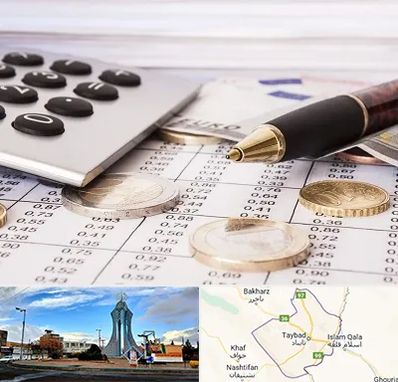 نرم افزار مودیان مالیاتی در تایباد