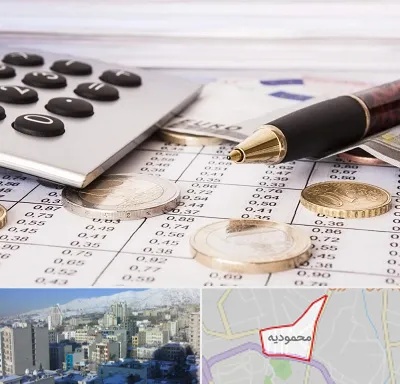 نرم افزار مودیان مالیاتی در محمودیه