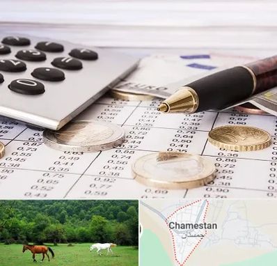 نرم افزار مودیان مالیاتی در چمستان