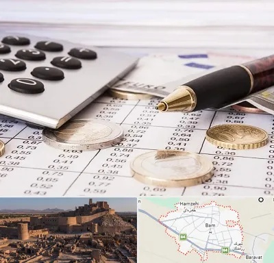 نرم افزار مودیان مالیاتی در بم
