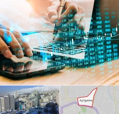 نرم افزار انبارداری در محمودیه