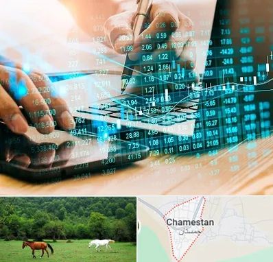 نرم افزار انبارداری در چمستان