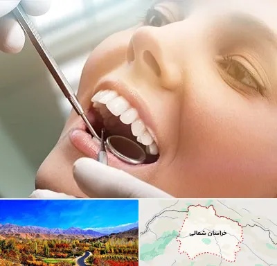 دندانپزشکی زیبایی در خراسان شمالی