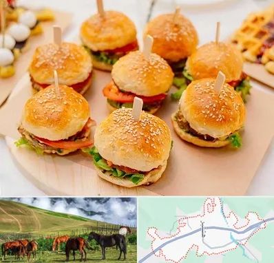 فینگر فود در تالش