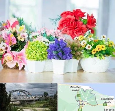 گل مصنوعی در چالوس
