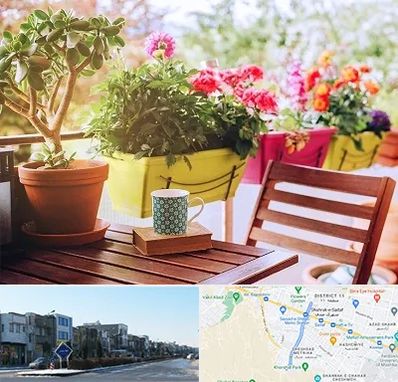 گیاه آپارتمانی در شریعتی مشهد