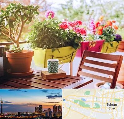 گیاه آپارتمانی در غرب تهران 