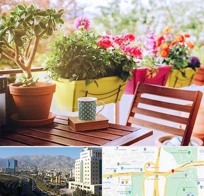 گیاه آپارتمانی در حقانی 