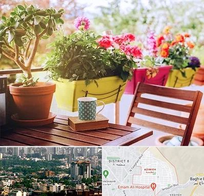 گیاه آپارتمانی در عظیمیه کرج 