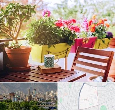 گیاه آپارتمانی در جمشیدیه