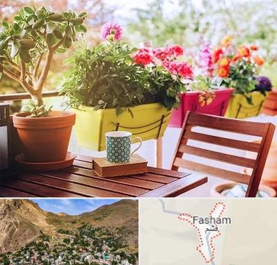 گیاه آپارتمانی در فشم